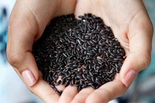 Không nên vo gạo lứt tím quá lâu
