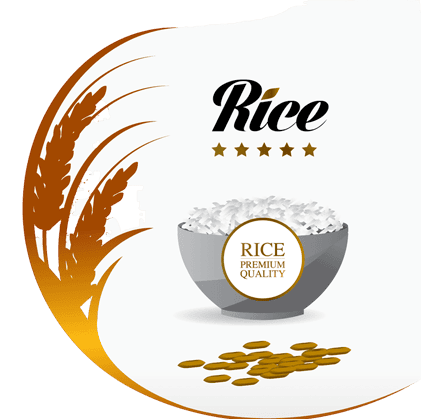 GẠO SẠCH HỮU CƠ